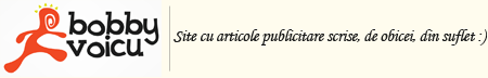 Bobby Voicu blog