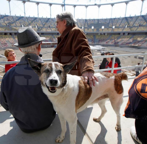 Marijuana Dog la National Arena