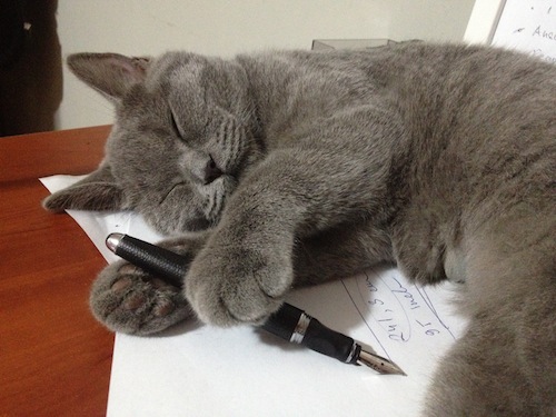Lara Sleeping