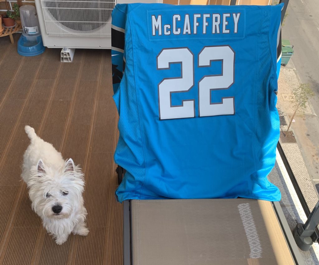 Westie dog next to a Carolina Panthers McCaffrey tshirt